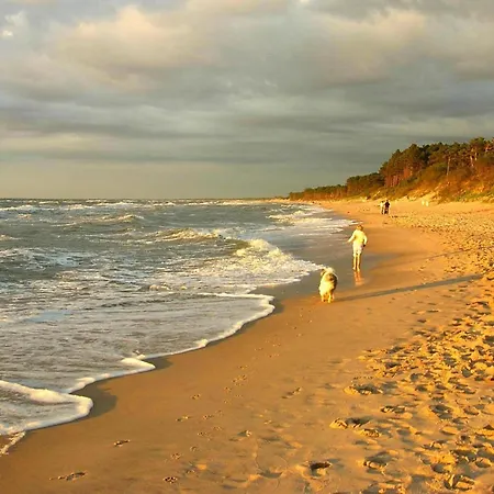 In Near Seaside Vila